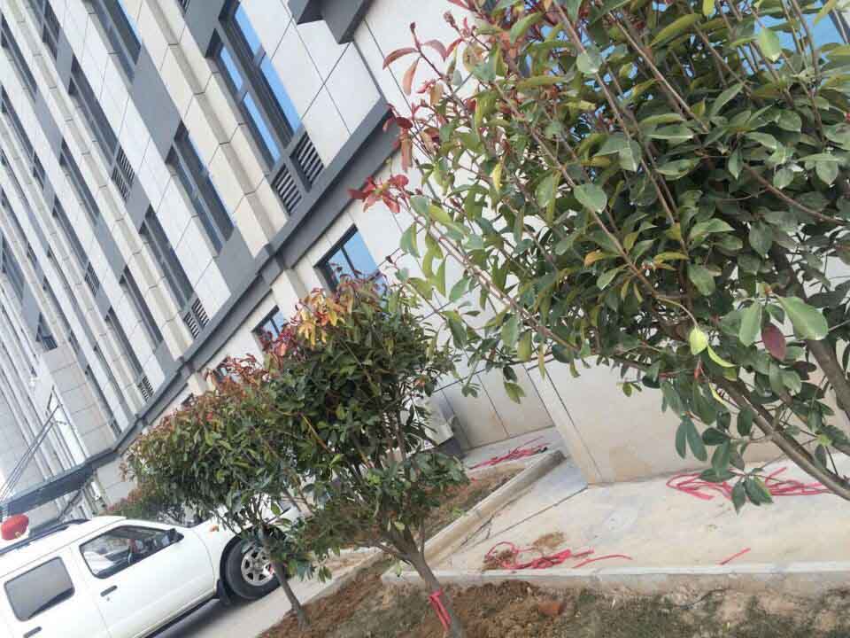 河南FH官网总代理